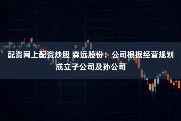 配资网上配资炒股 森远股份：公司根据经营规划成立子公司及孙公司